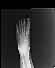 Miniatura de serie